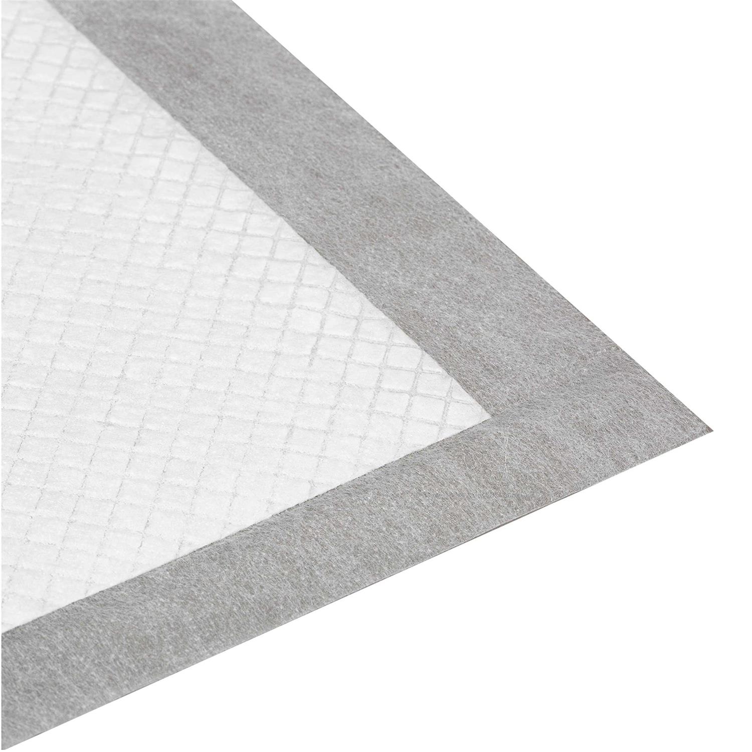 Alternative view of Pounce + Fetch 100 Pack Dog Training Pads