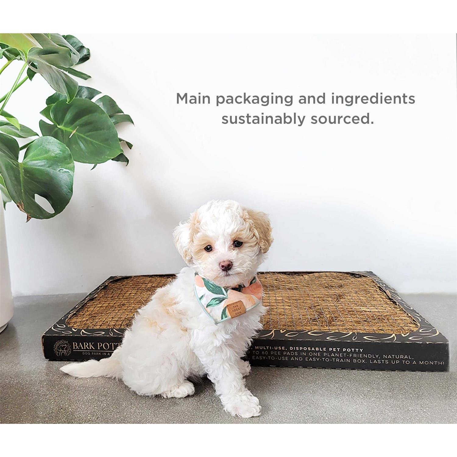 Alternative view of Bark Potty Disposable dog Potty Multi-Use odor neutralizing