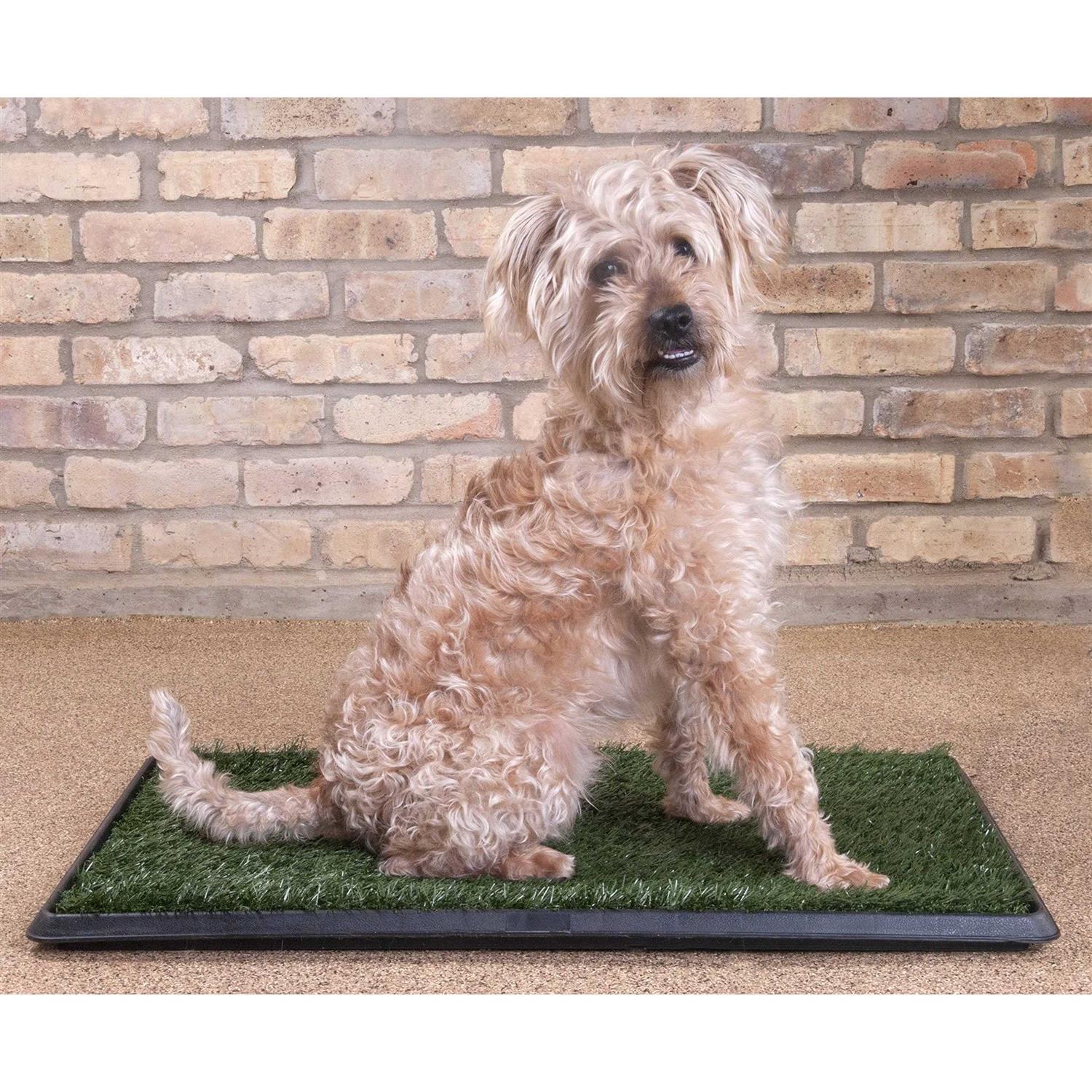 Alternative view of Downtown Pet Supply Dog Grass Pad with Tray, 20 x