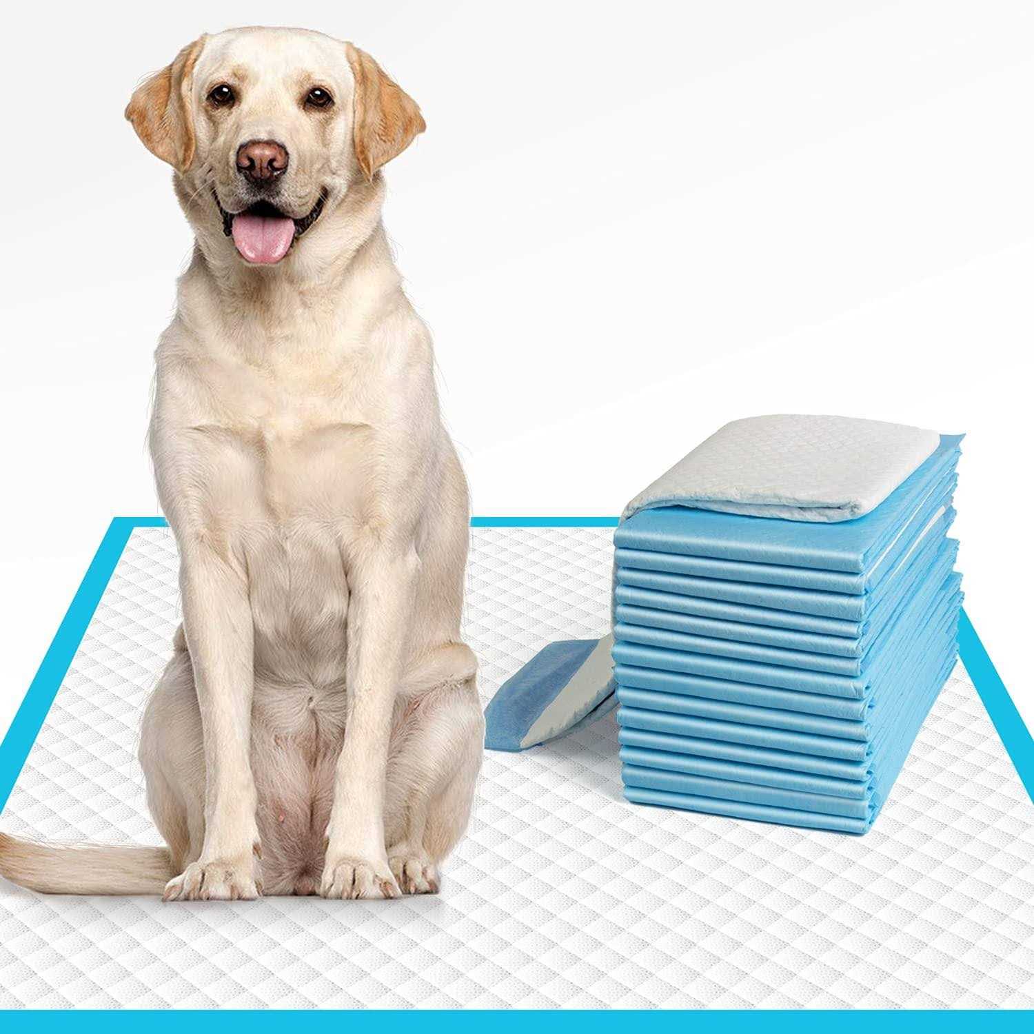 IMMCUTE Extra Large Dog Pee Pads Large Puppy Pee Training Pads Super Absorbent & Leak-Proof