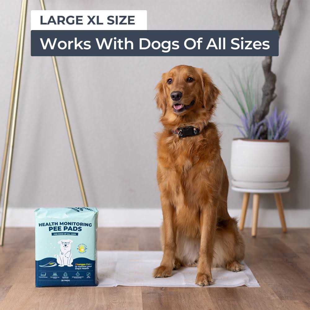 Alternative view of Health Monitoring Pee Pads