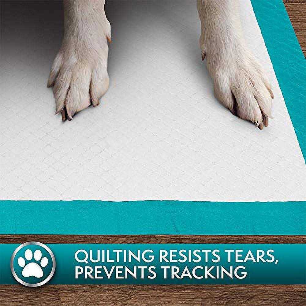 Alternative view of Simple Solution Extra Large Training Pads