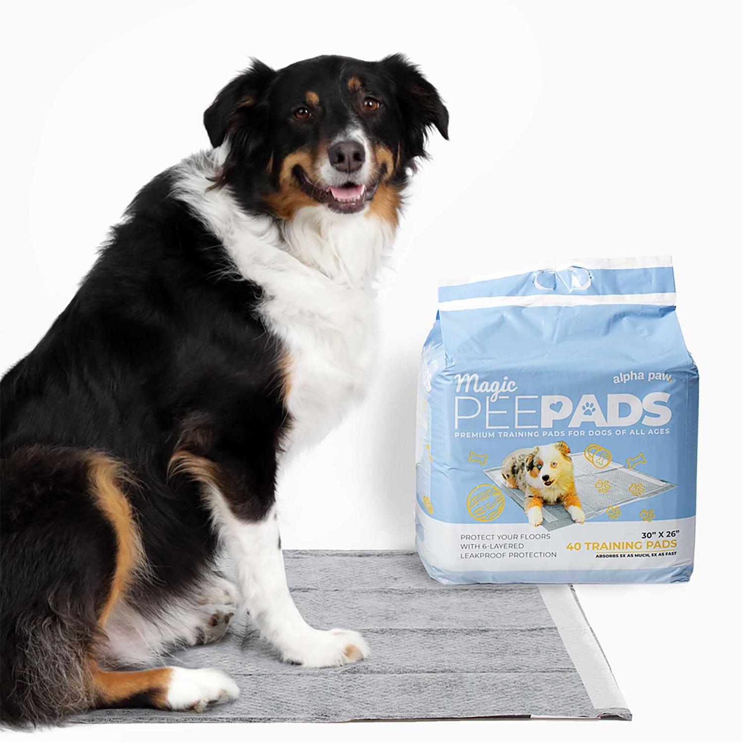 Alternative view of Alpha Paw Magic Dog Pee Pads