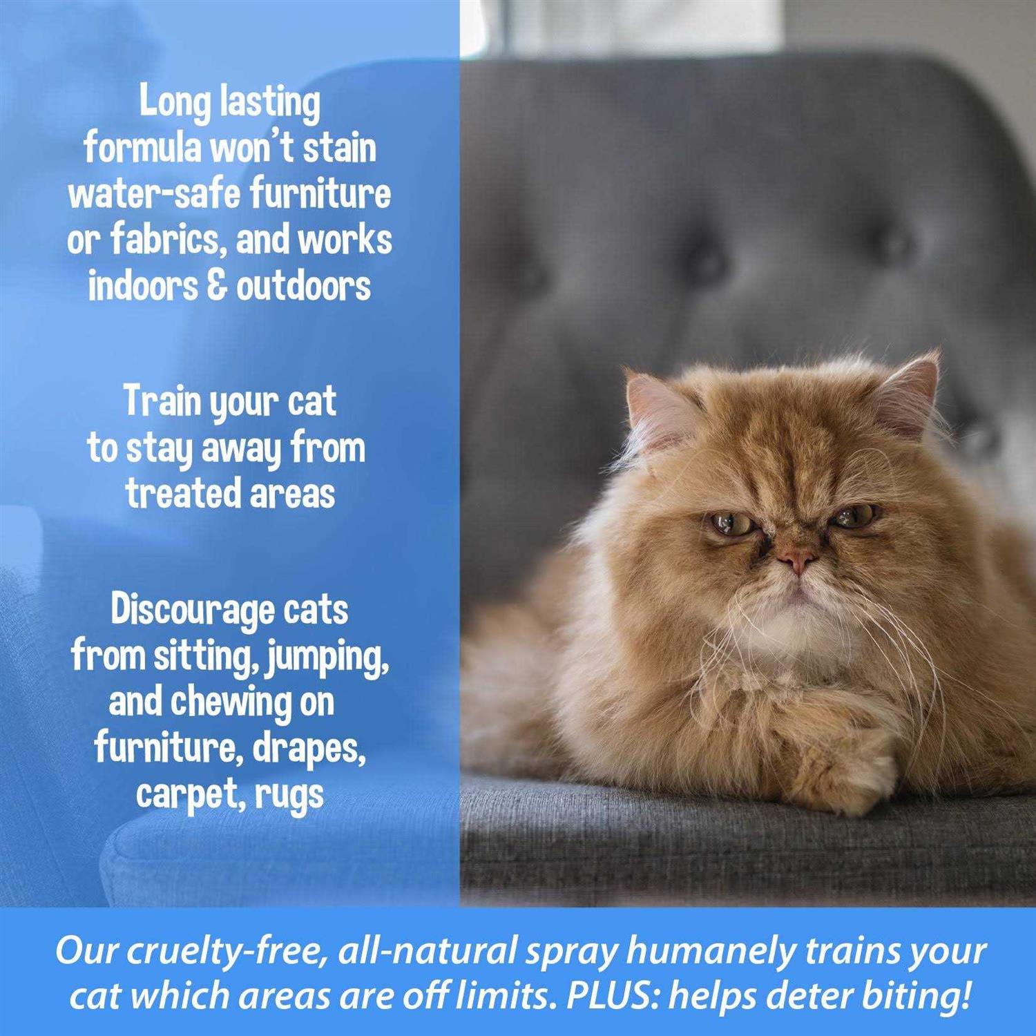Alternative view of Bodhi Dog 3-in-1 Cat & Kitten Training Aid Cat Deterrent Spray for Indoor and Outdoor Use