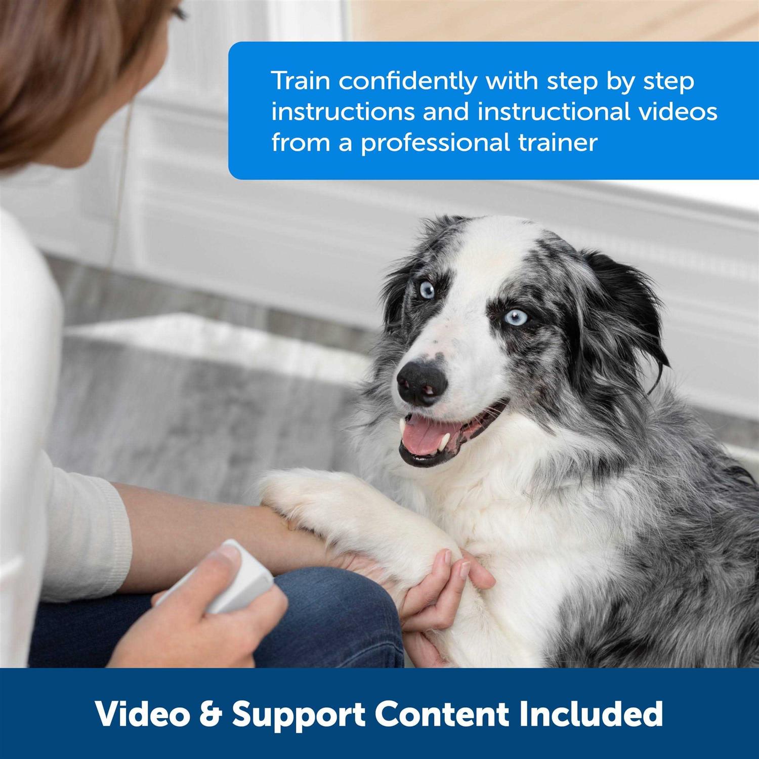 Alternative view of PetSafe Teach & Treat Remote Reward Trainer