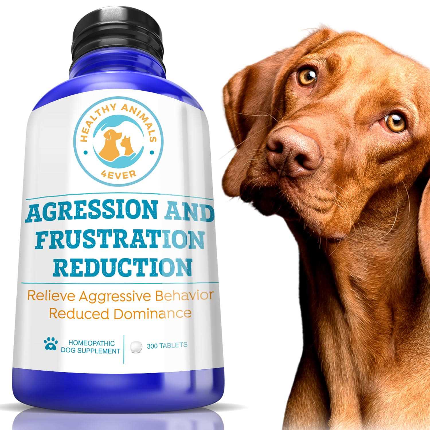 Aggression and Frustration Reduction