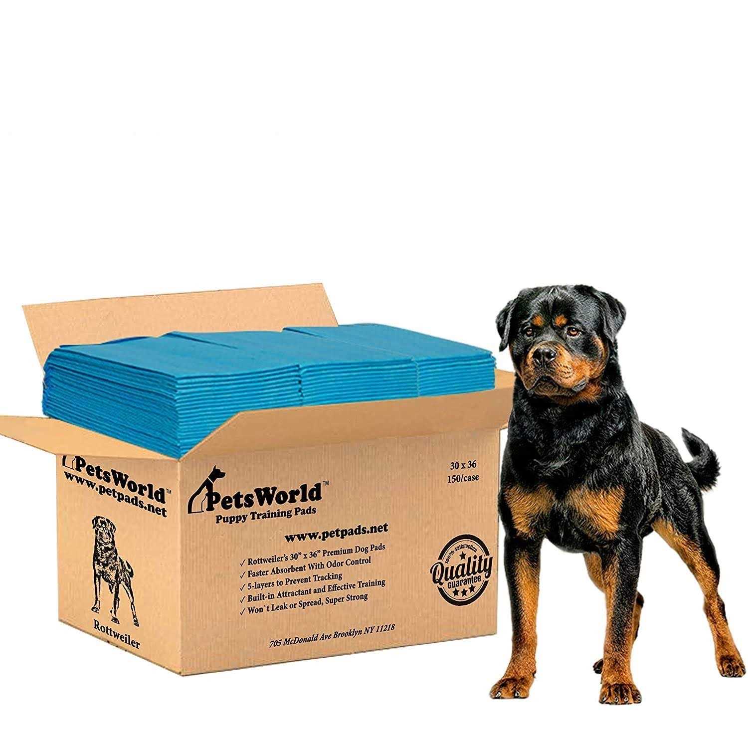 Petsworld Extra Large Potty Pads for Dogs