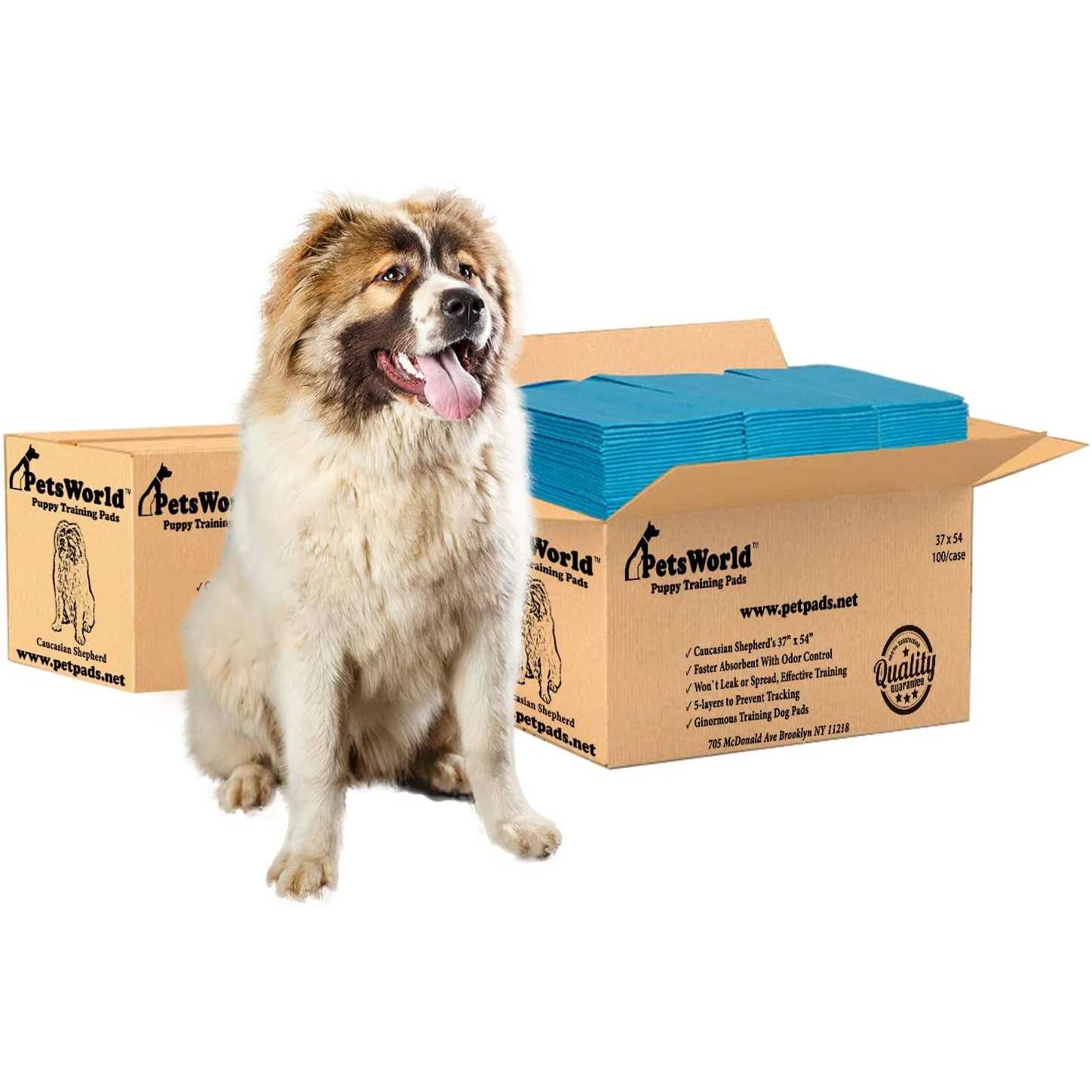 petsworld Pet Potty Pads Xxxl Enormous Tear Resistant