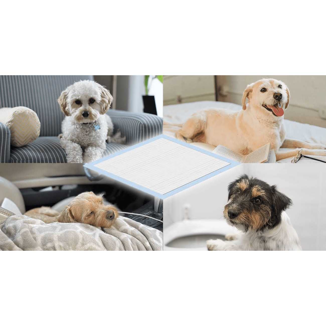 Alternative view of Honey Care All-Absorb Dog and Puppy Training Pads, Ultra Absorbent and Odor Eliminating