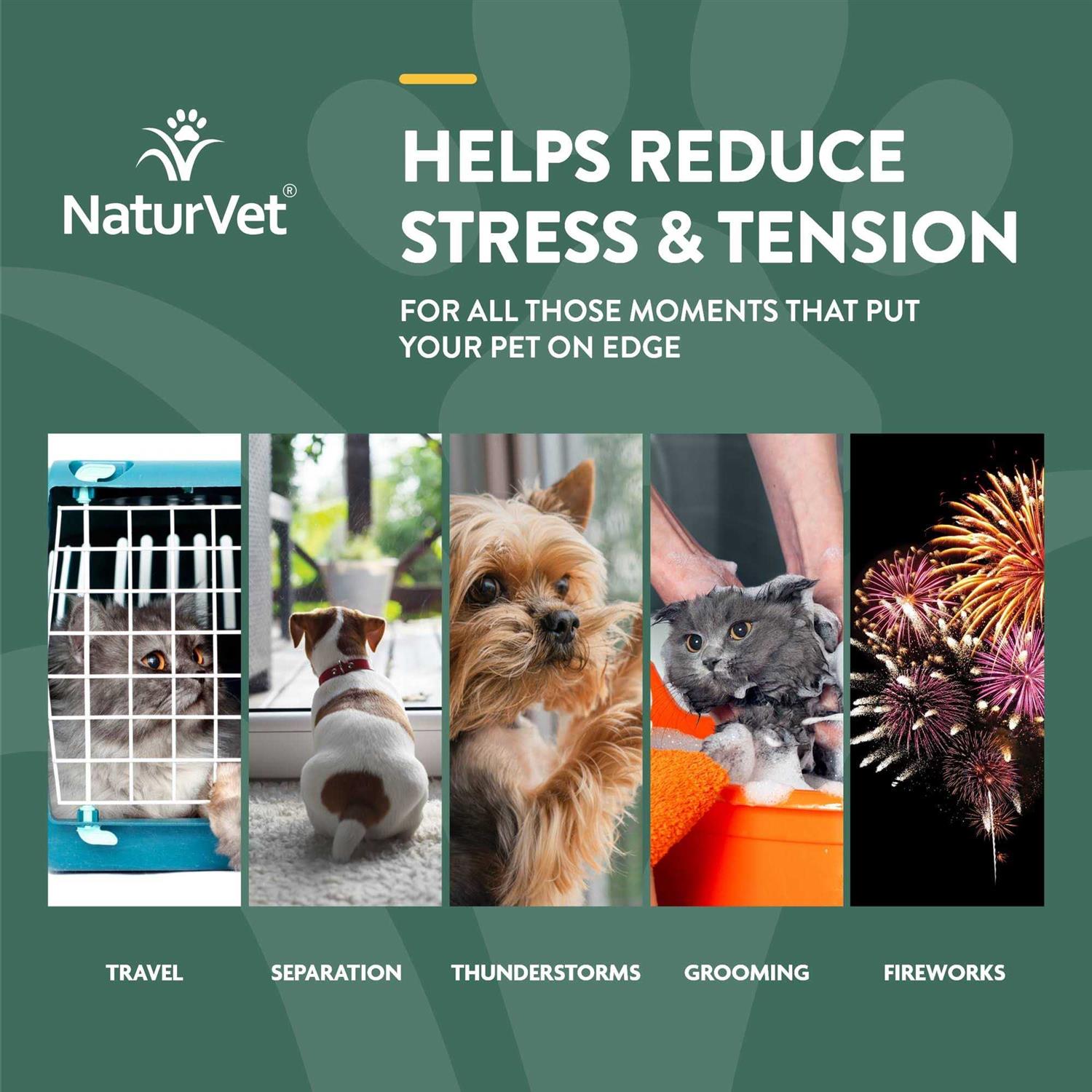 Alternative view of NaturVet Hemp Quiet Moments Calming Drops Hemp Oil for Dogs & Cats