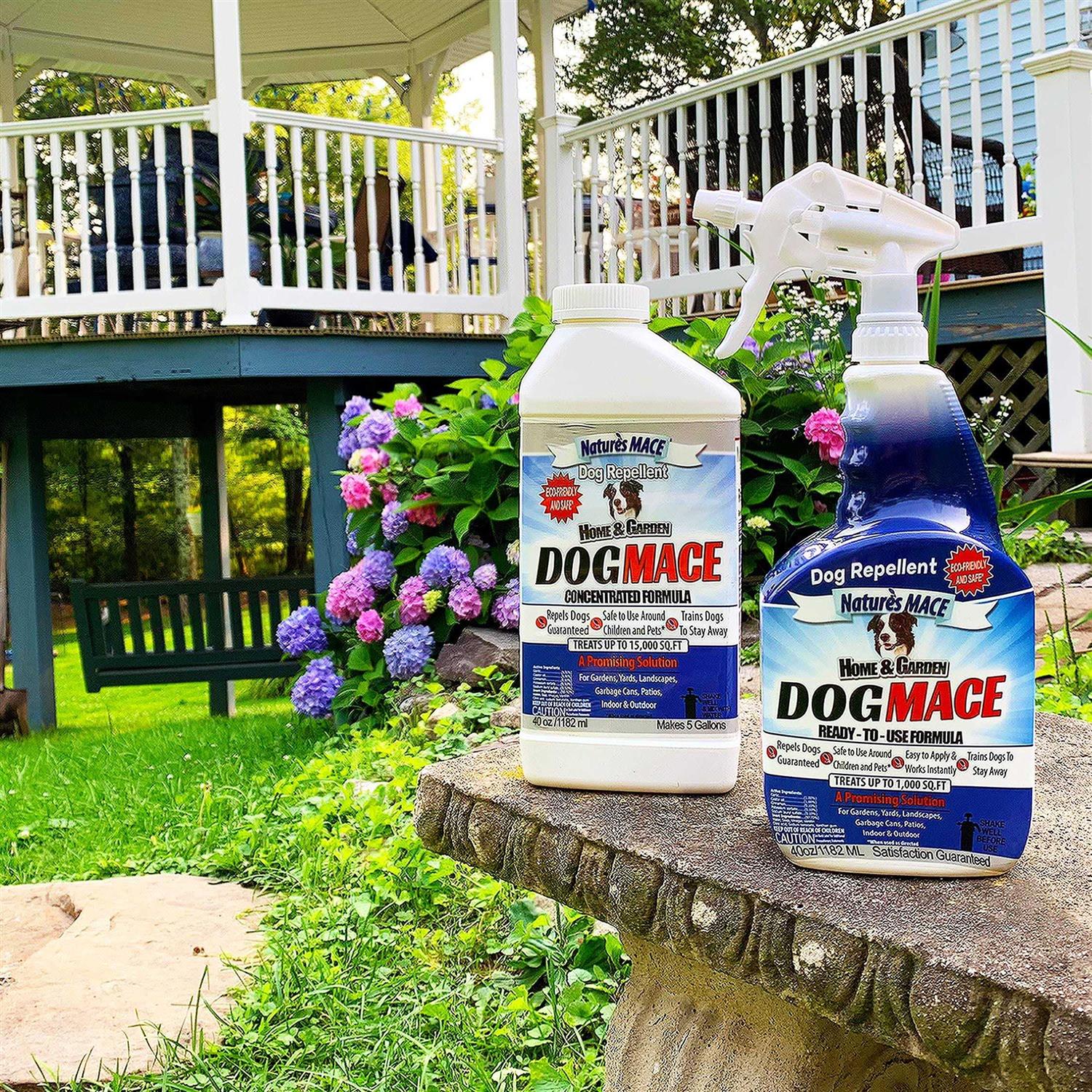 Alternative view of Nature's Mace Dog Mace 40oz. Concentrate Makes 5 Gallons