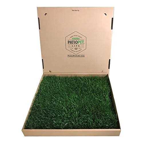 Alternative view of Patio Pet Life Real Grass Potty
