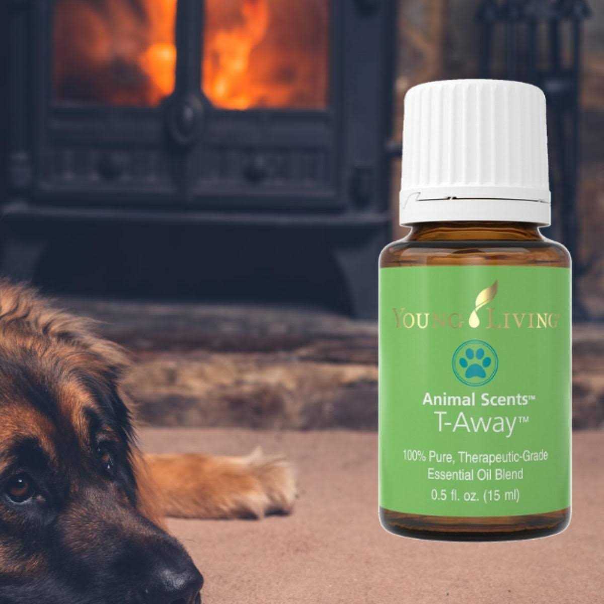 Alternative view of Young Living Animal Scents T-Away
