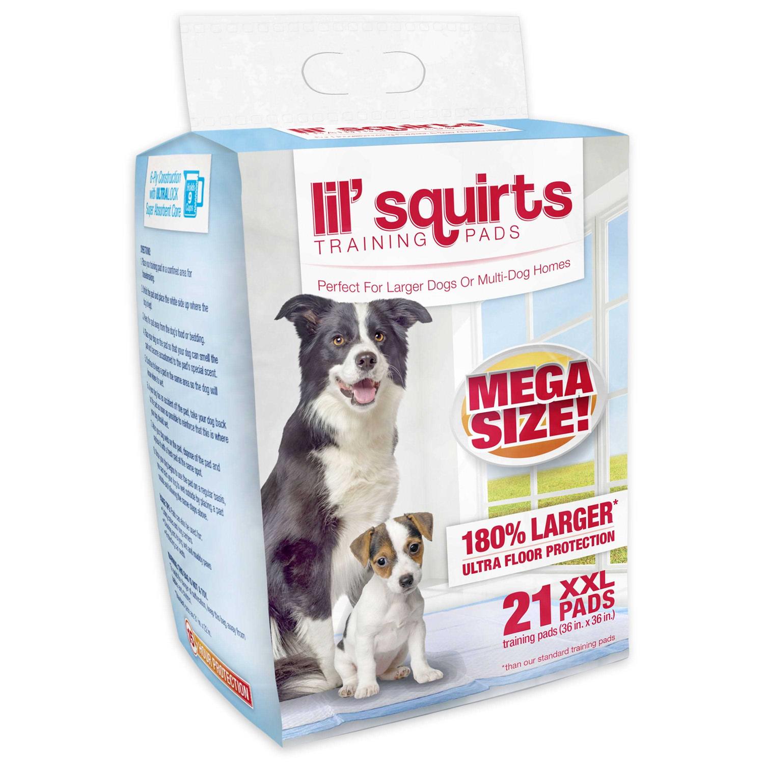 Ruffin' It Lil' Squirts Training Pads