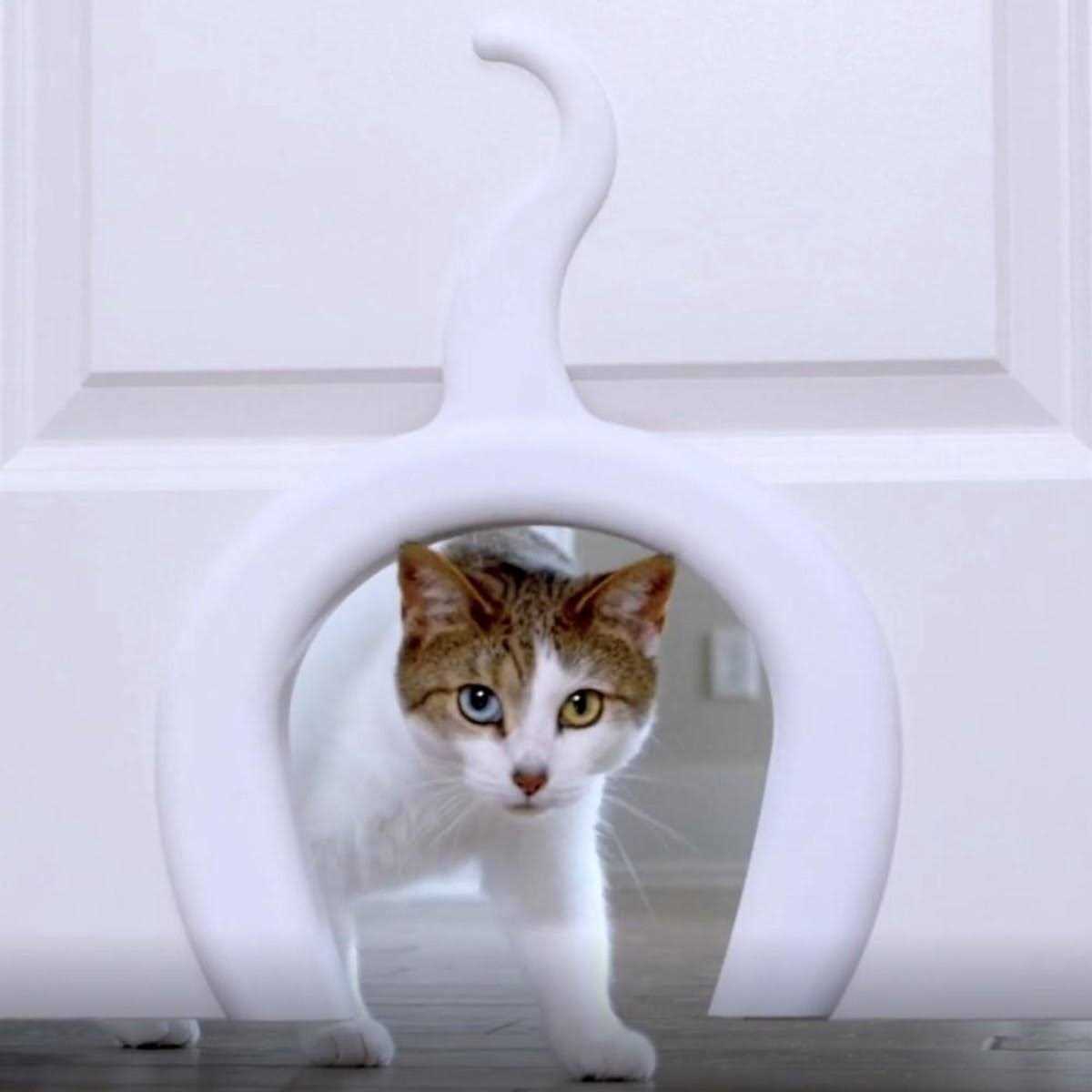 Alternative view of PetSafe Cat Door Cat Corridor for Interior Doors Adds Privacy, Keeps Dogs Out of Cats Space, Food, and Litter Box or Auto Feeder