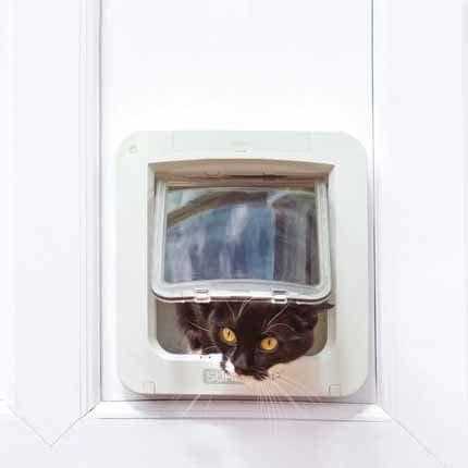 Alternative view of SureFlap Microchip Pet Door Connect Without Hub