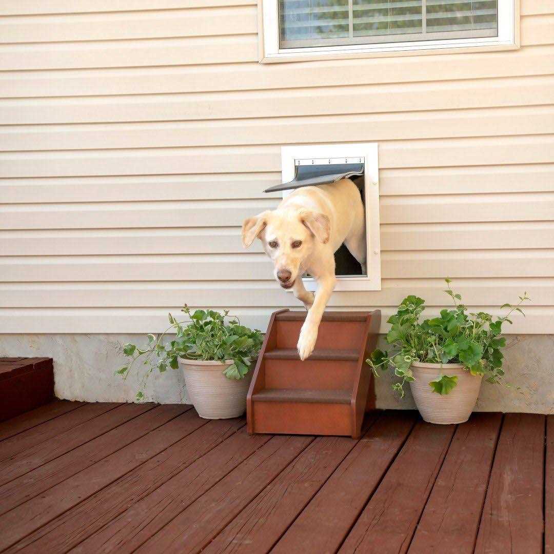 Alternative view of PetSafe Wall Entry Pet Door