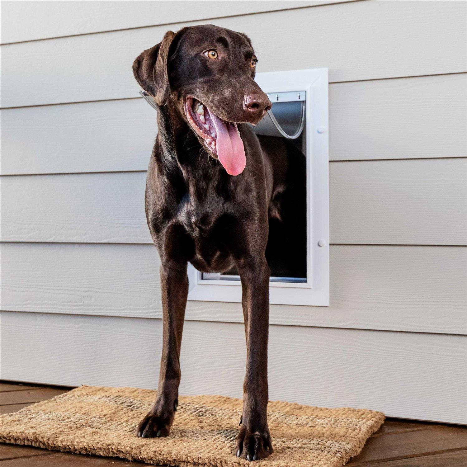 Alternative view of PetSafe Wall Entry Pet Door