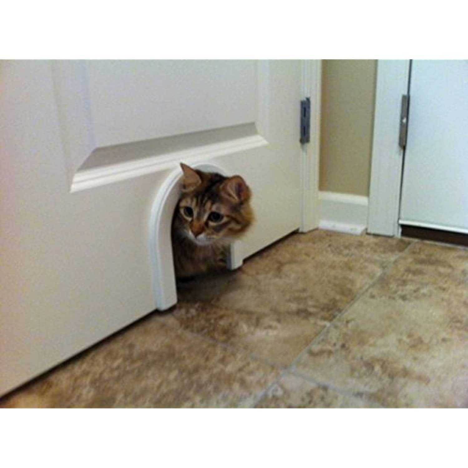 Alternative view of Cathole Cat Door with Brush