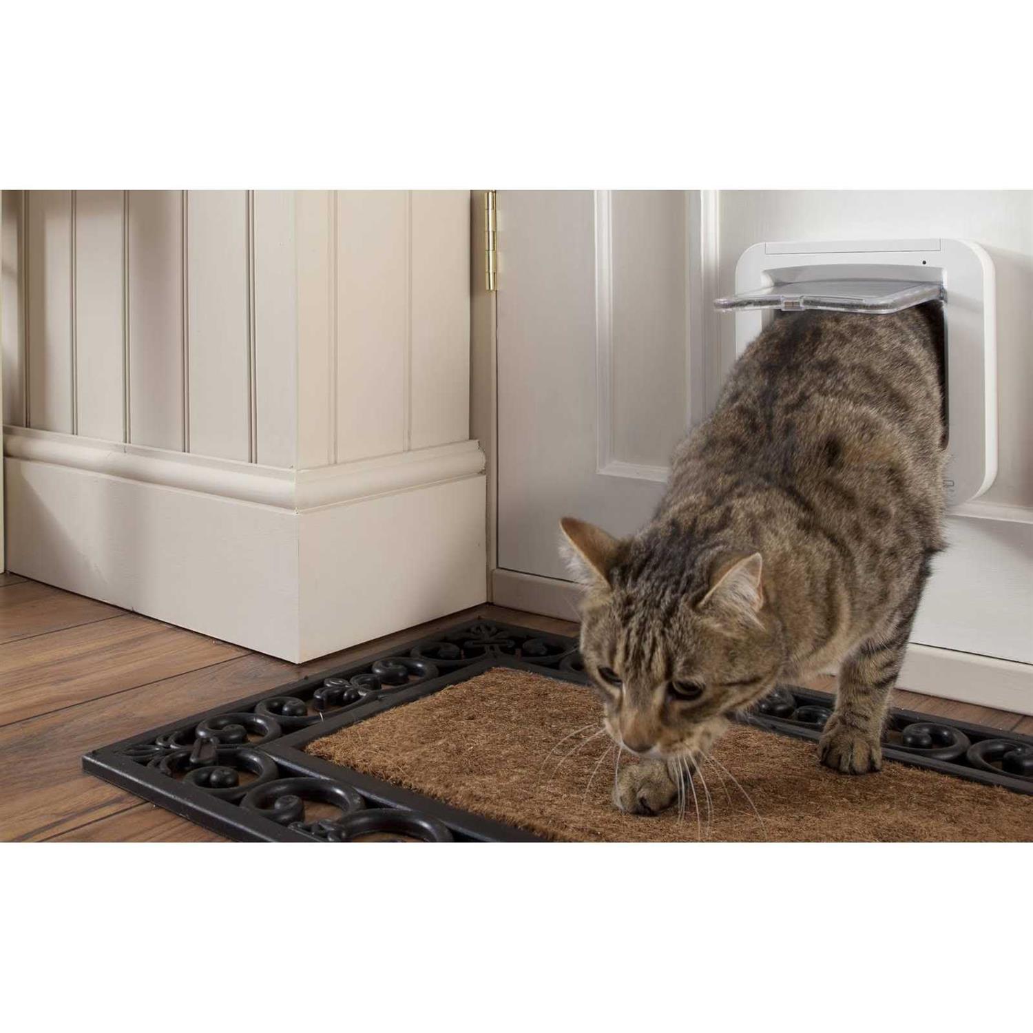 Alternative view of SureFlap Microchip Pet Door