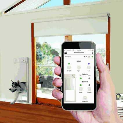High Tech Pet PX-2 Large Power Pet Door for Door Installations
