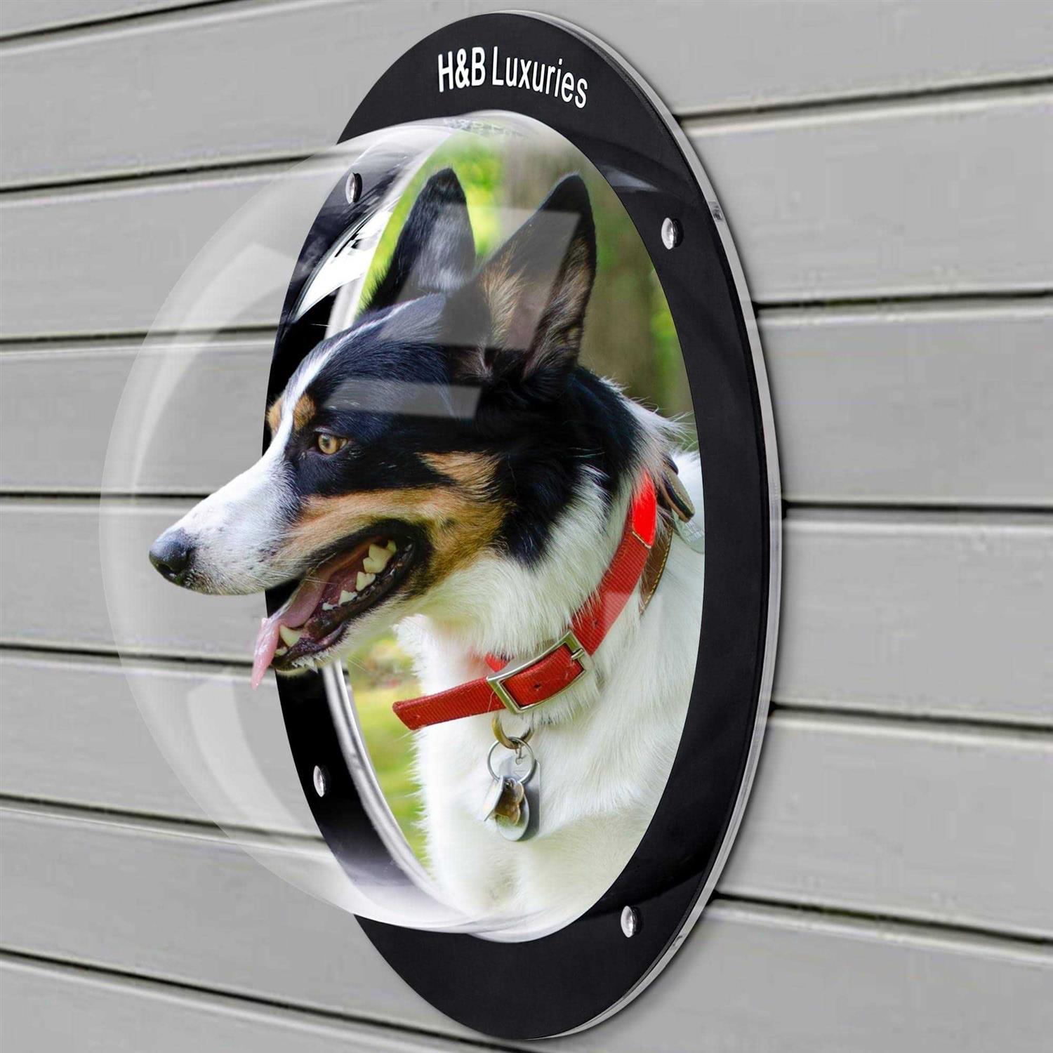 H&b Luxuries Durable Acrylic Dome Dog Window for Fence to View Outside for Satisfying Curious Pets