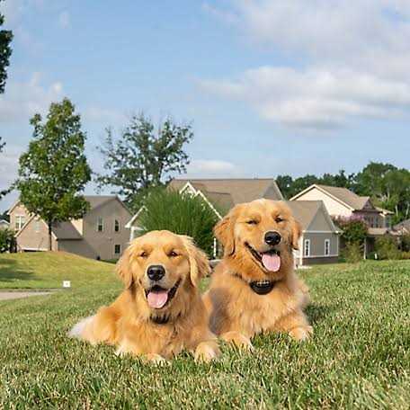 Alternative view of PetSafe Stay Play Wireless Fence
