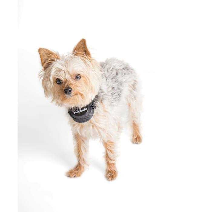 Alternative view of PetSafe Stay Play Wireless Fence