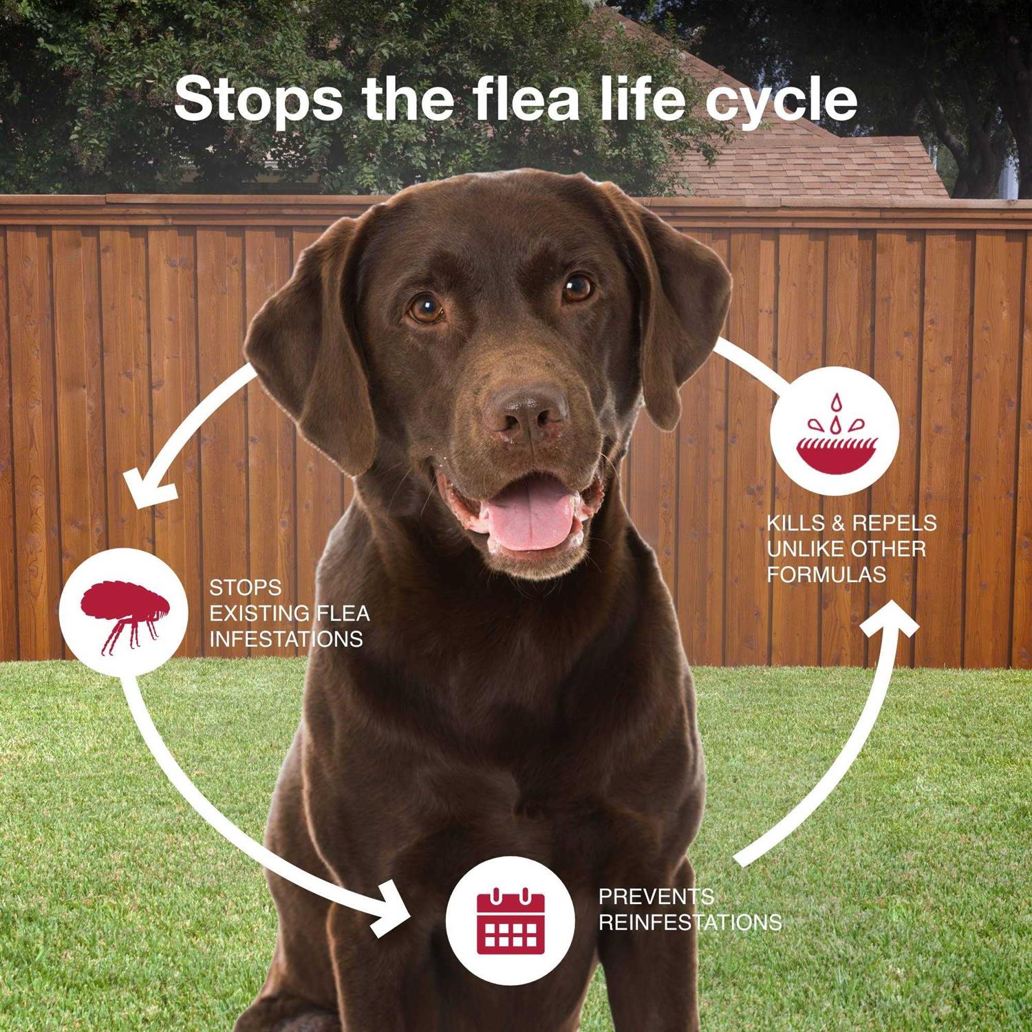 Alternative view of Bayer K9 Advantix II for Extra Large Dogs