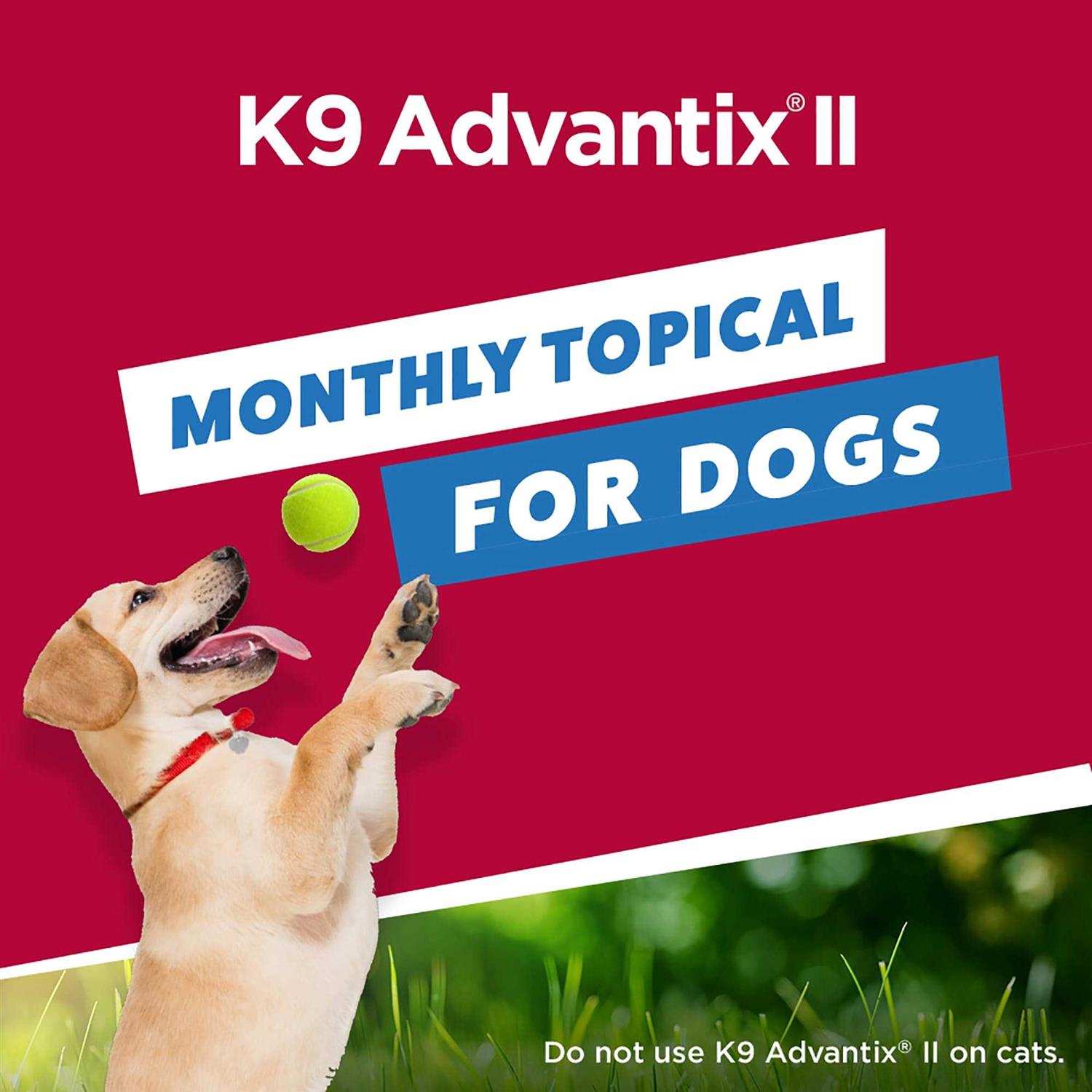Alternative view of Bayer K9 Advantix II for Extra Large Dogs