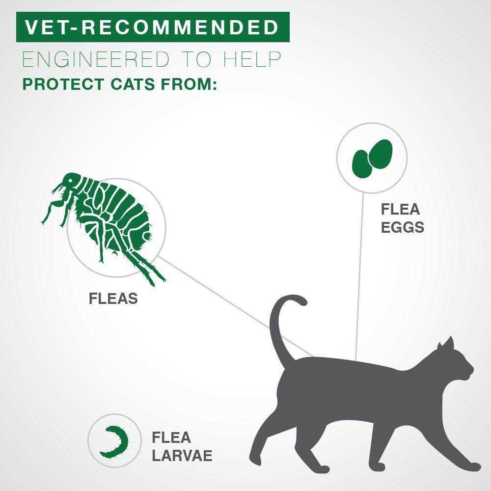 Alternative view of Advantage II Flea Treatment Cats