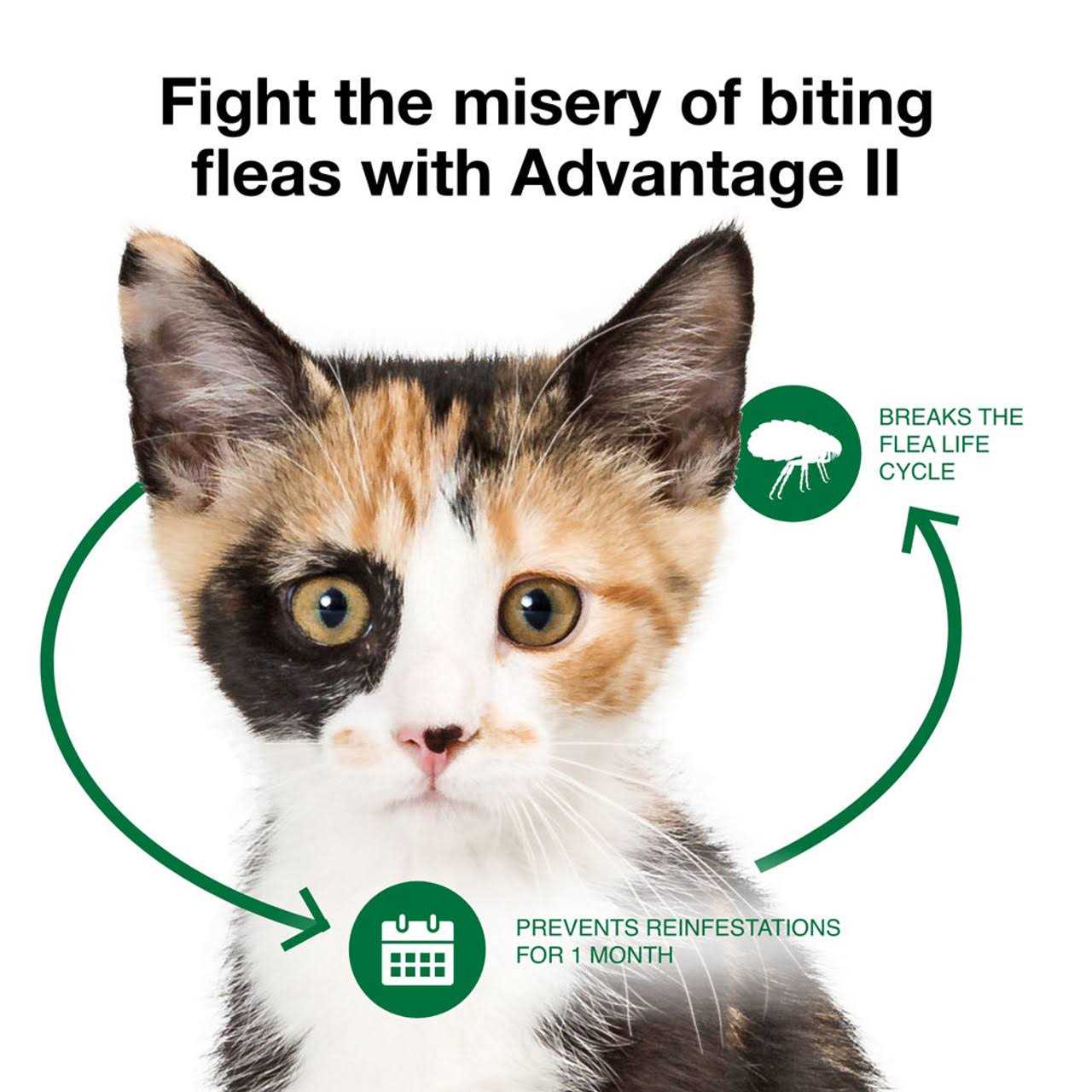 Alternative view of Advantage II Flea Treatment Cats