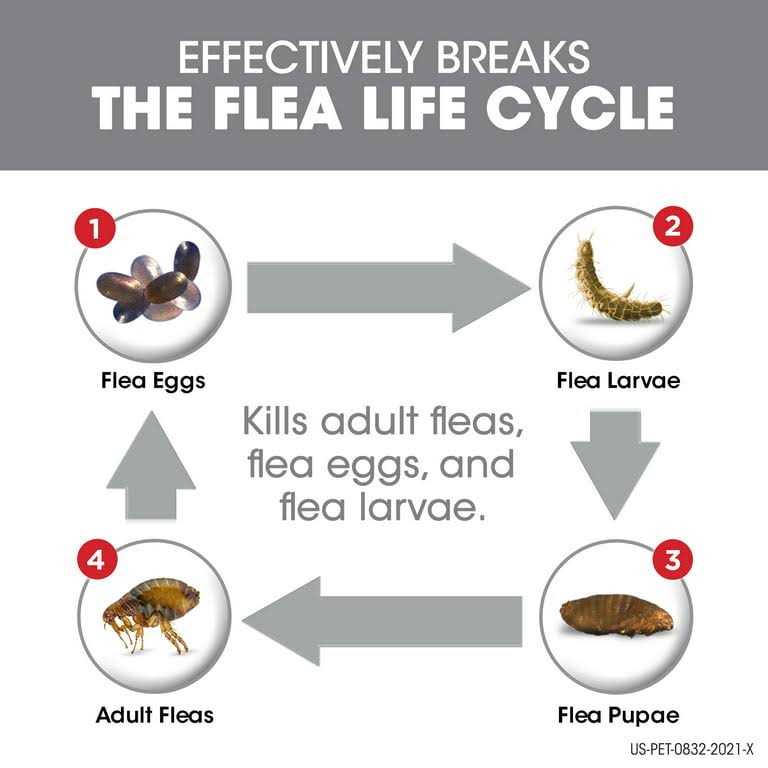 Alternative view of Frontline Plus Dogs Flea Tick