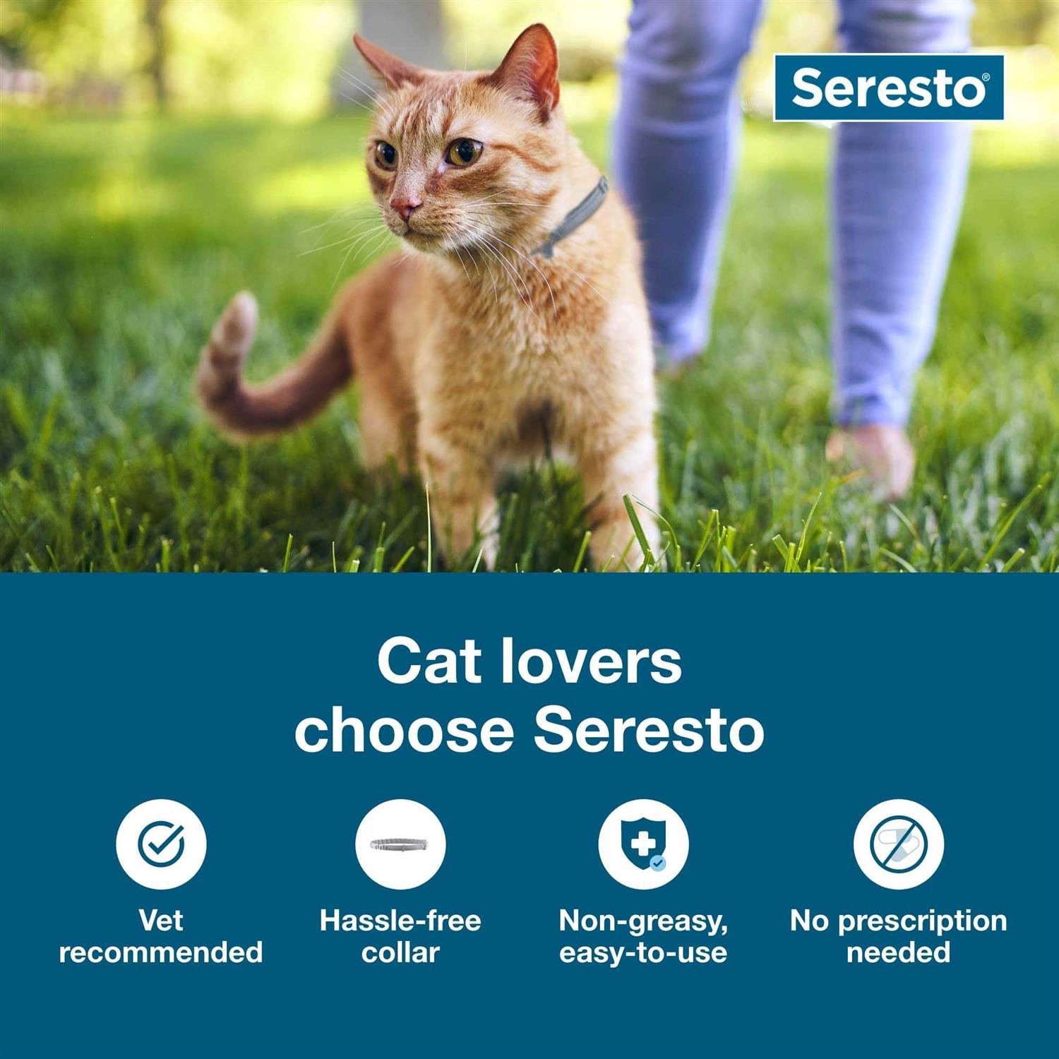 Alternative view of Bayer Seresto 8 Month Flea & Tick Prevention Collar for Cats