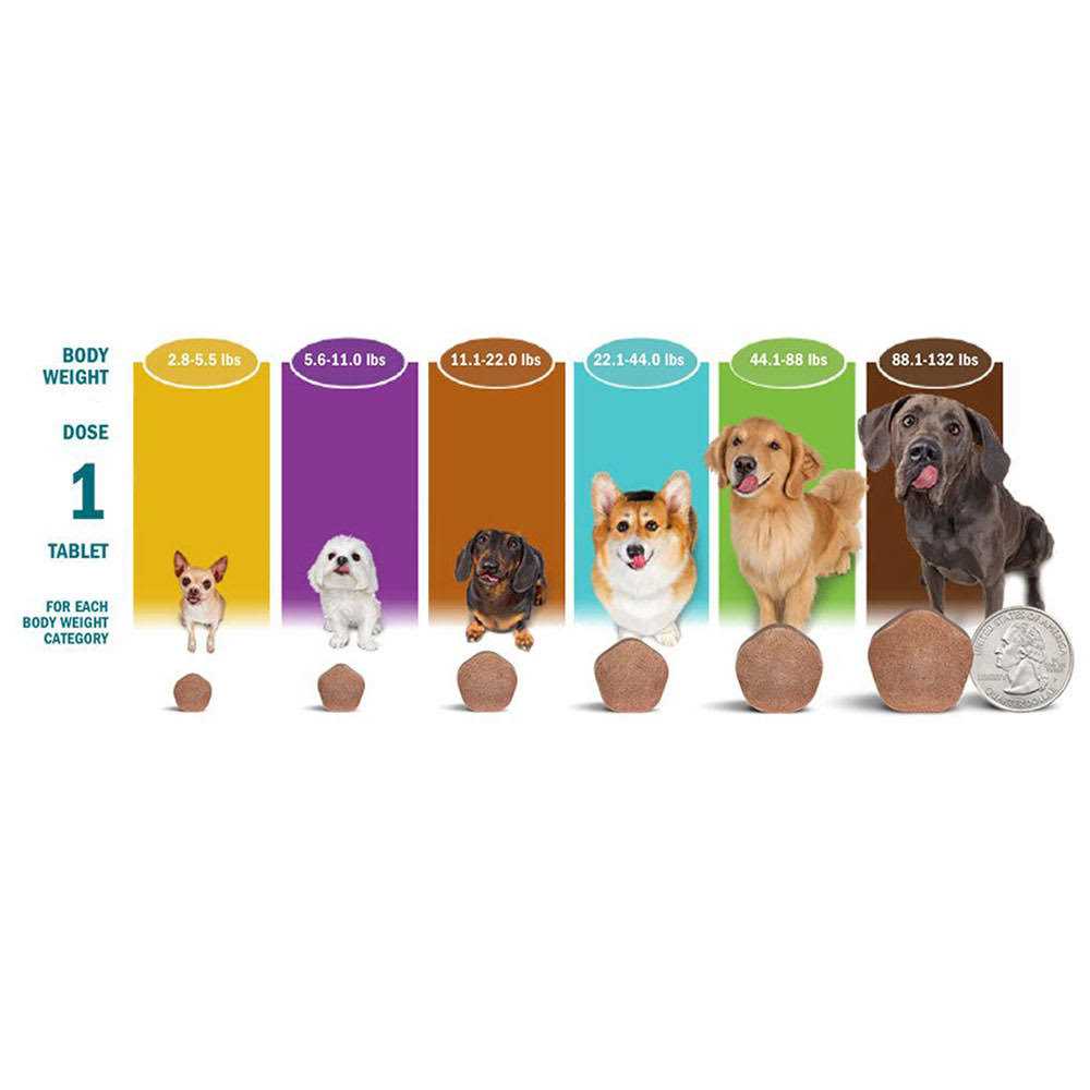 Alternative view of Simparica Trio 44.1-88 lbs. Dogs, 6 Month Supply