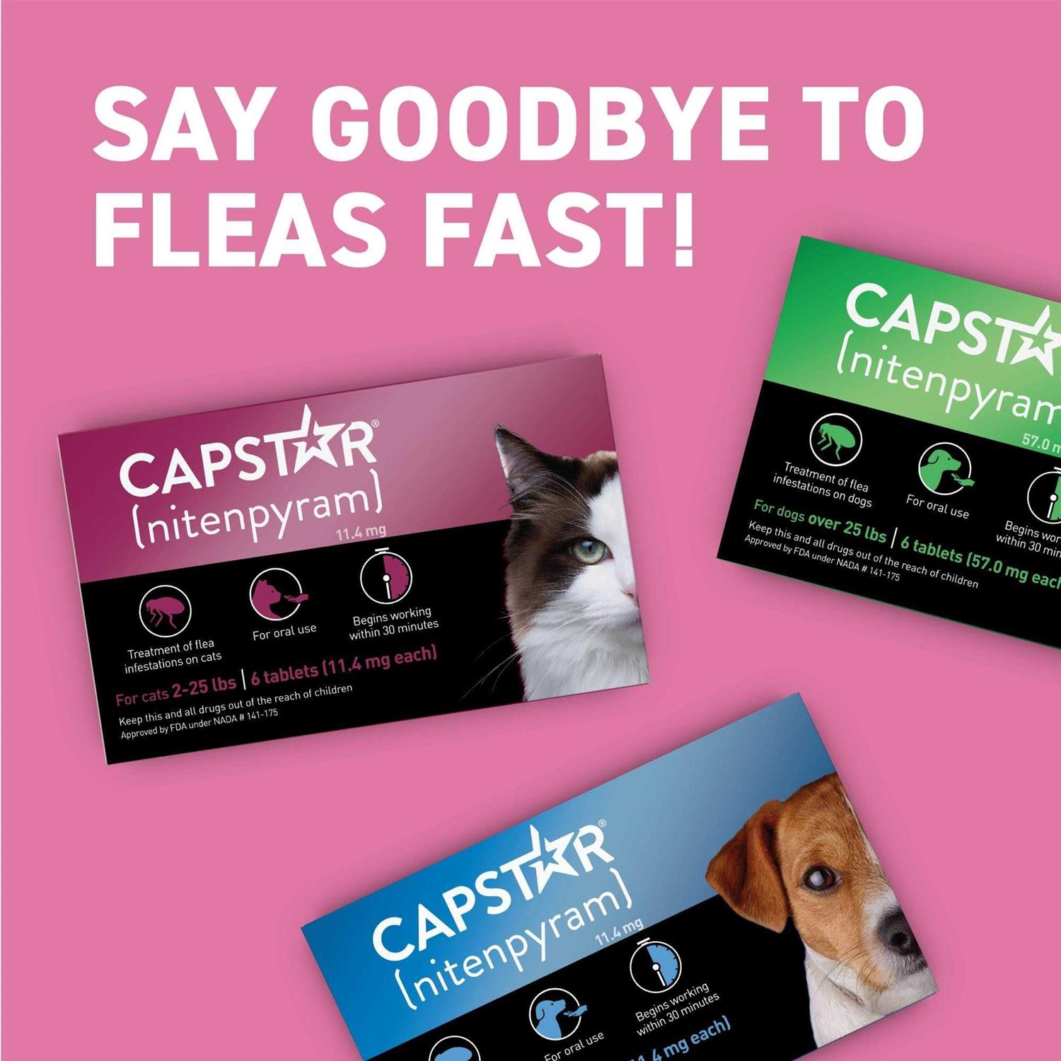 Alternative view of Capstar Flea Tablets for Cats 2-25 lbs