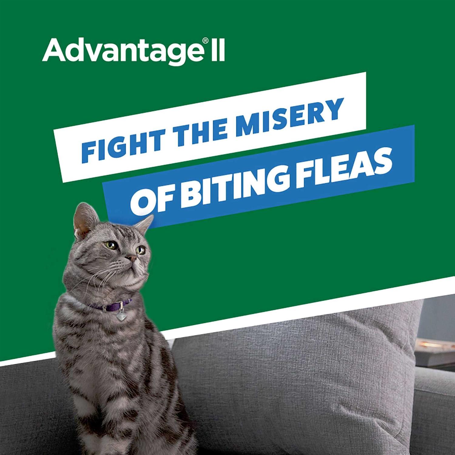 Alternative view of Advantage II Flea Treatment Small Cats