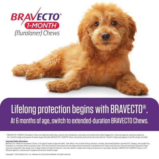 Alternative view of Bravecto 1-Month Chews for Dogs 22-44 lbs