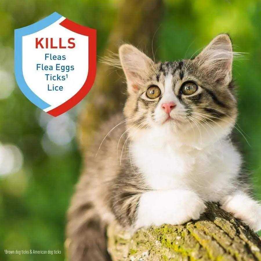 Alternative view of Adams Plus Flea Tick Shampoo
