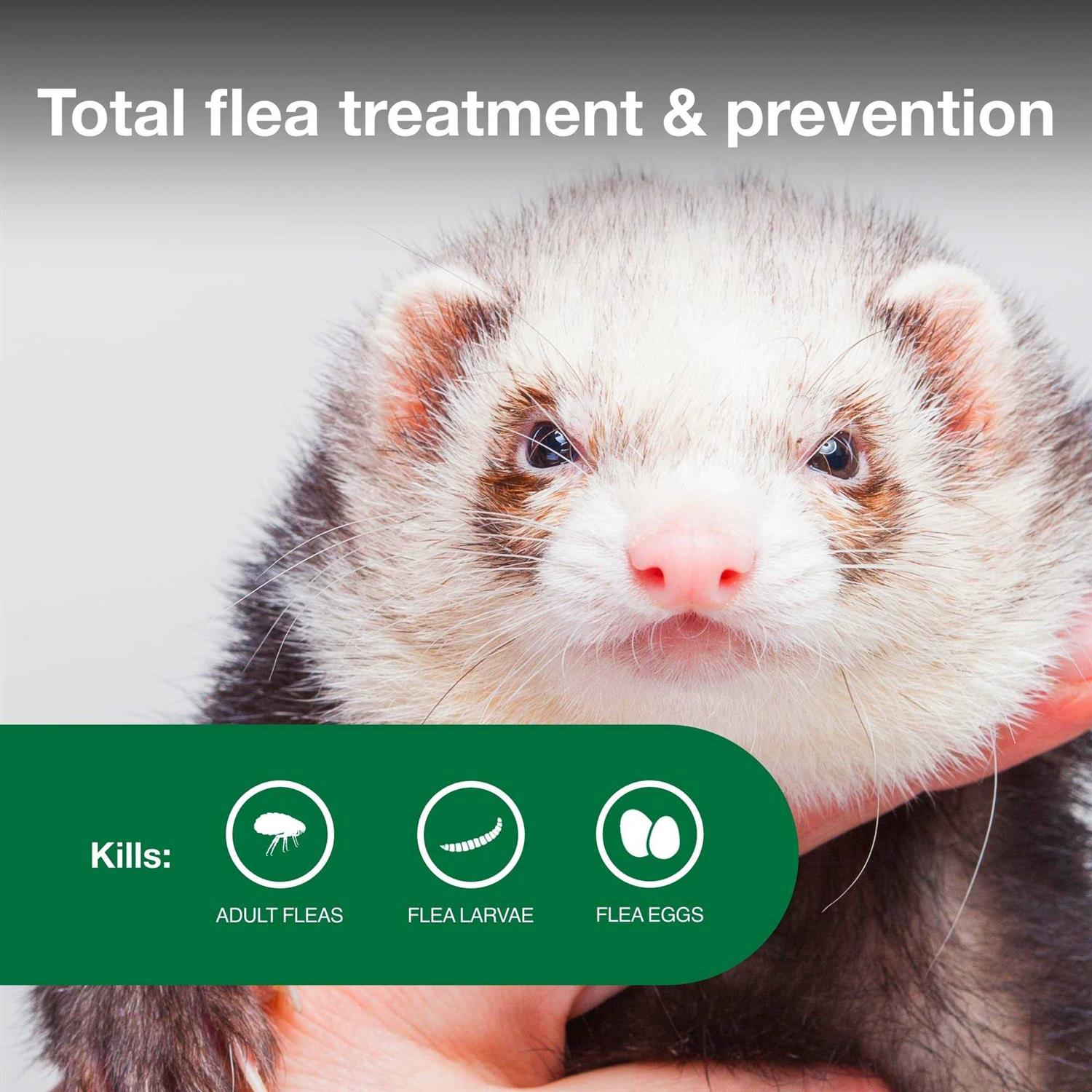 Alternative view of Advantage II Flea Treatment for Ferrets