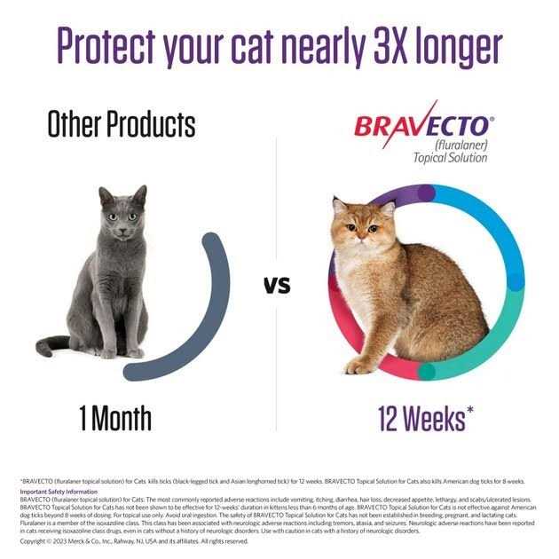 Alternative view of 6.2-13.8 lbs Bravecto Topical Solution for Cats