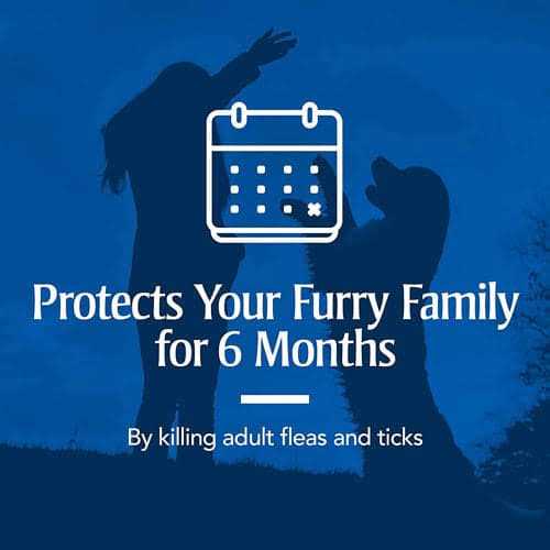 Alternative view of PetArmor Flea & Tick Collar for Dogs