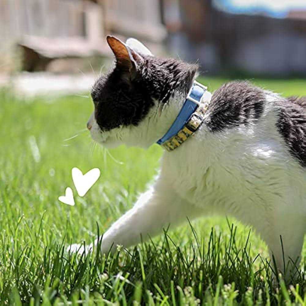 Alternative view of PetArmor Flea & Tick Collar for Cats