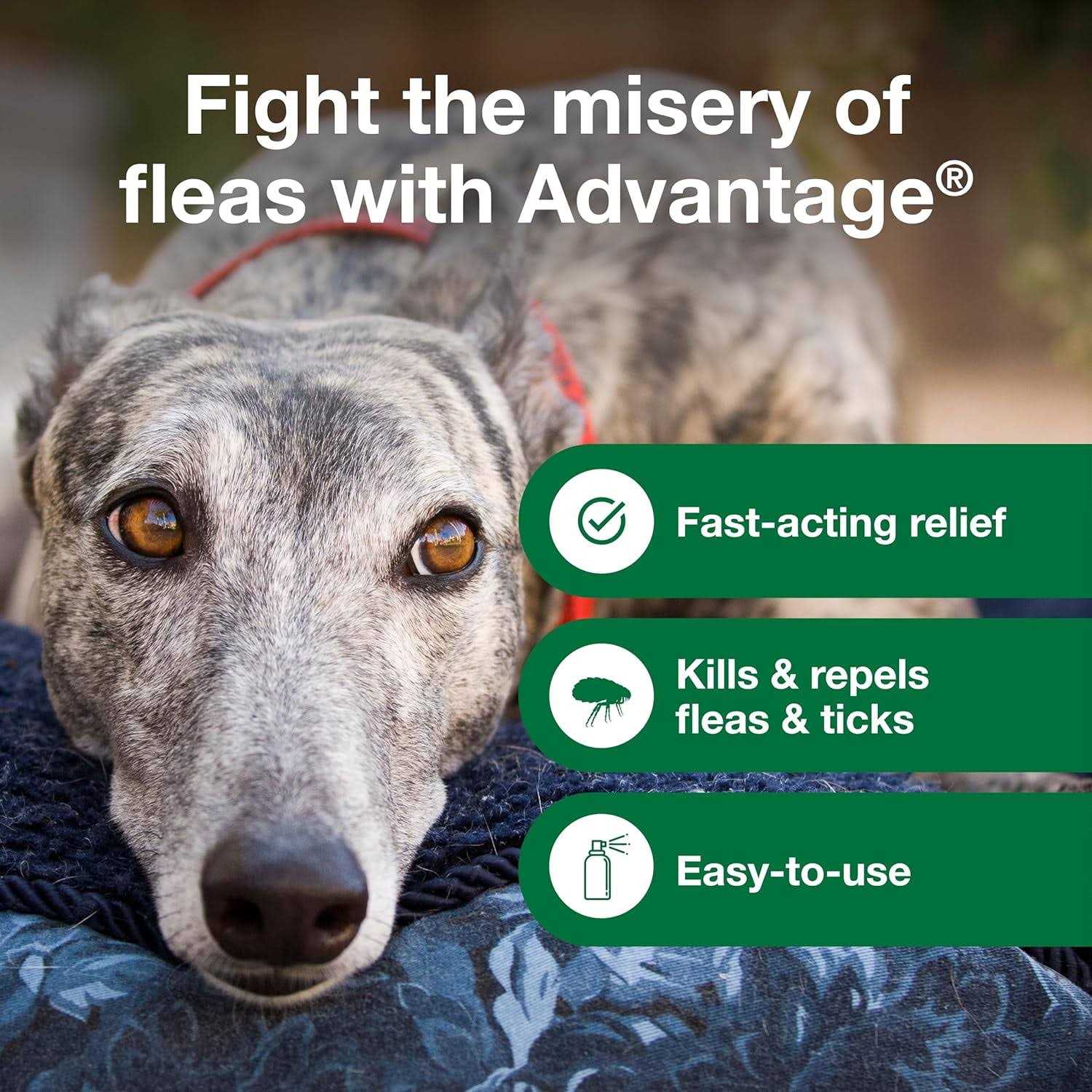 Alternative view of Advantage Flea & Tick Treatment Spray for Dogs
