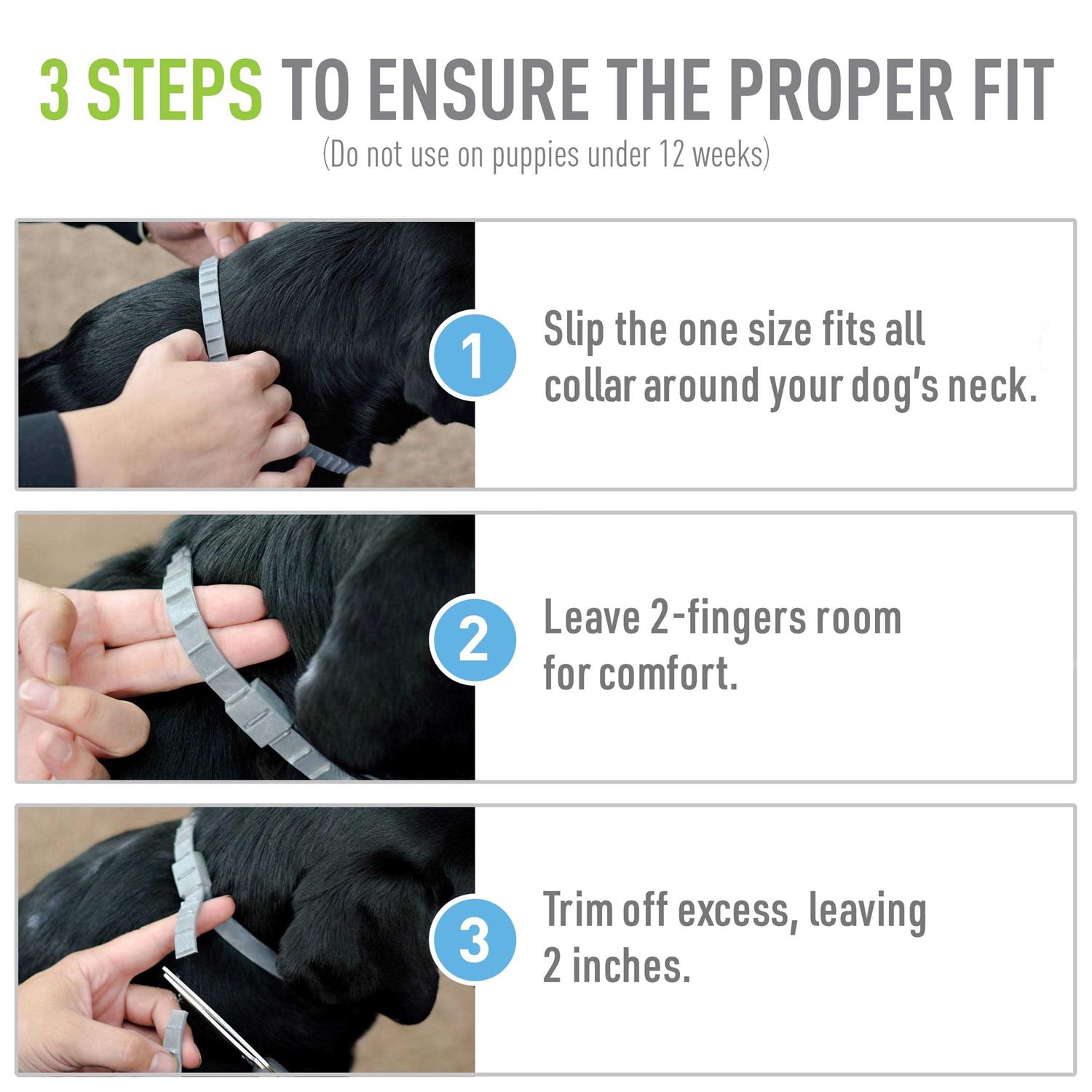 Alternative view of Adams Flea Tick Collar Plus for Dogs Puppies