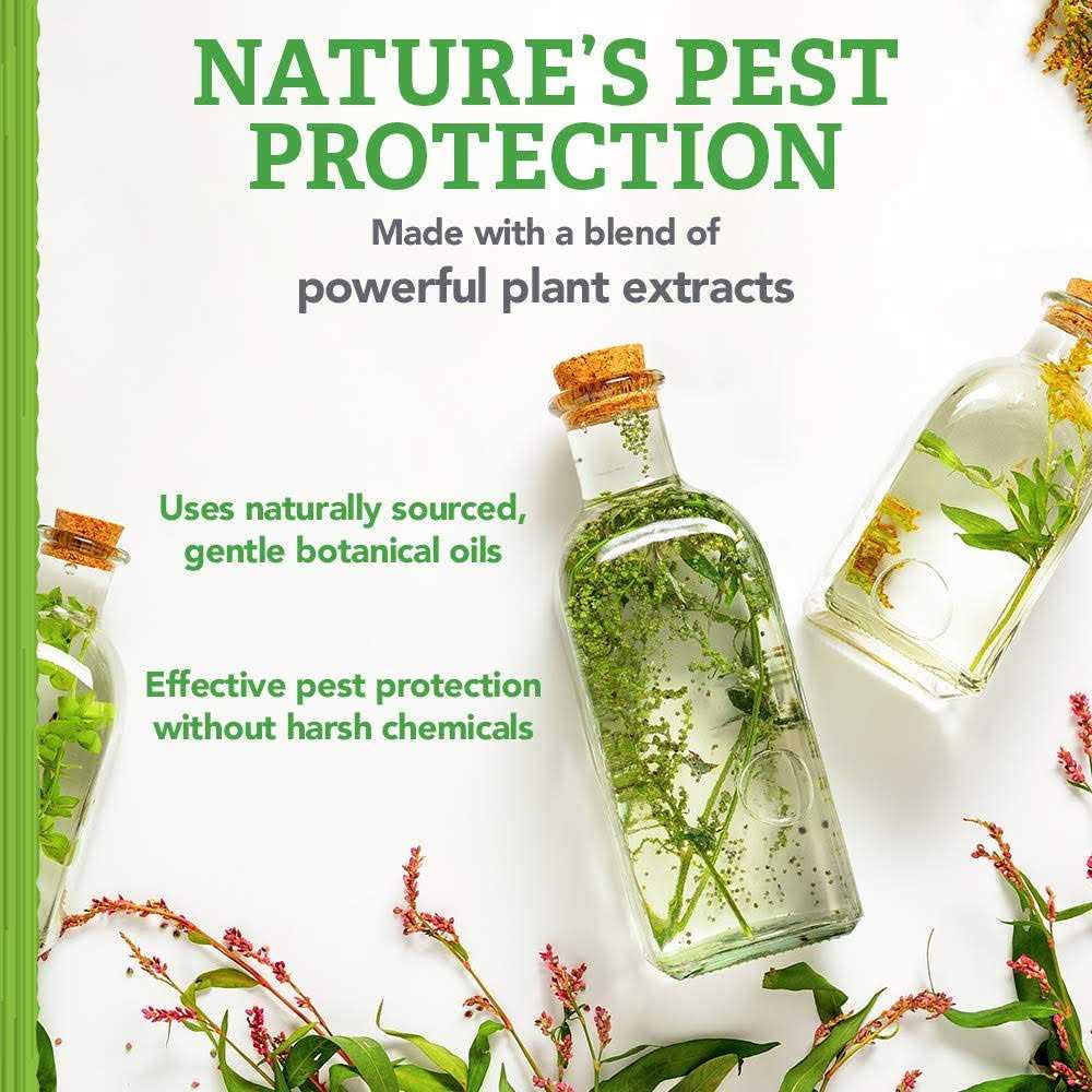 Alternative view of Natural Care Flea and Tick Carpet Powder Flea Treatment for Rugs, Carpet, or Pet Bedding