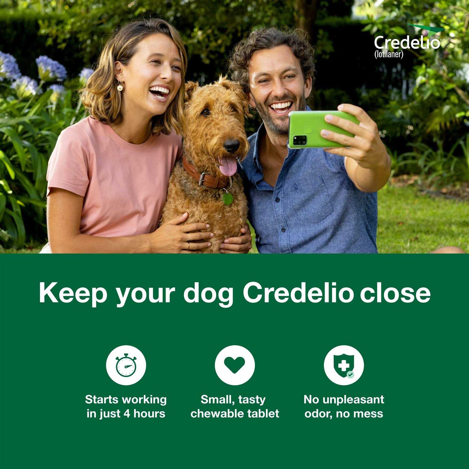 Alternative view of Credelio Chewable Tablet for Dogs 12.1-25 lbs