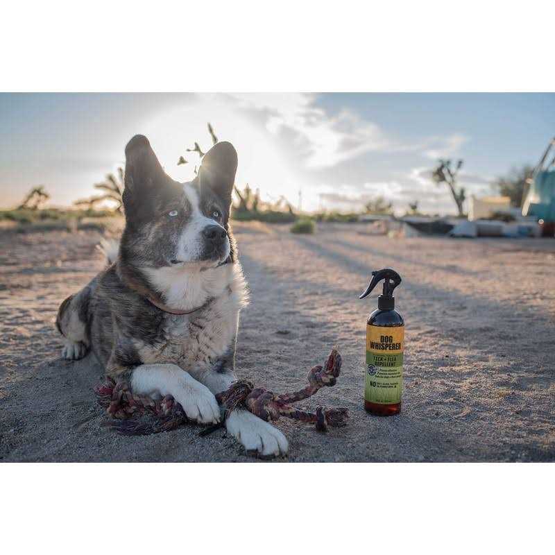 Alternative view of Dog Whisperer Tick Flea Repellent