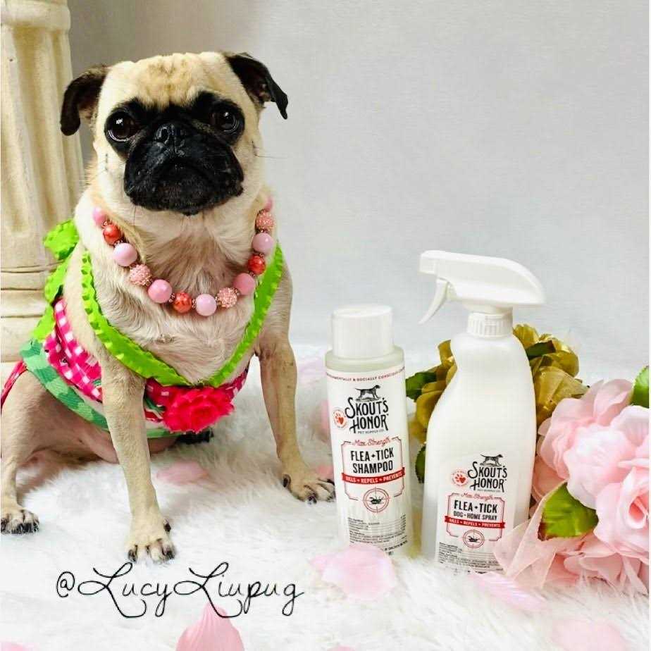 Alternative view of Skout's Honor Flea & Tick Shampoo