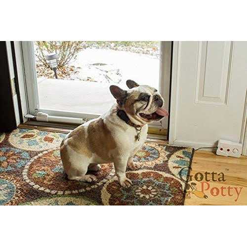 Alternative view of SAFETY VISION The Source Direct Wireless Dog Potty Training System